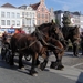 2 boerenpaarden trekken de kar...