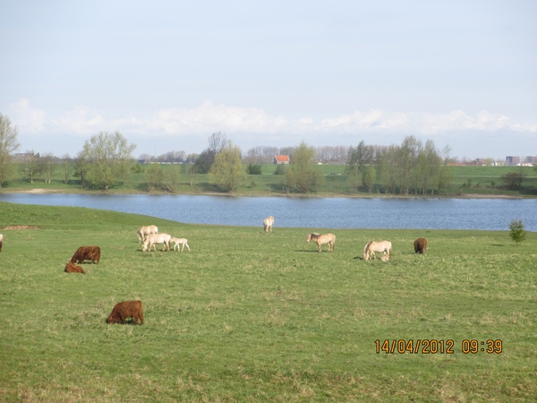 IJselstein, 14 april 2012 030