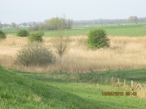 IJselstein, 14 april 2012 035