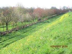 IJselstein, 14 april 2012 040