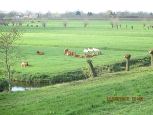 IJselstein, 14 april 2012 042