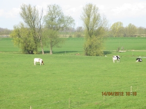 IJselstein, 14 april 2012 044