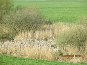 IJselstein, 14 april 2012 046