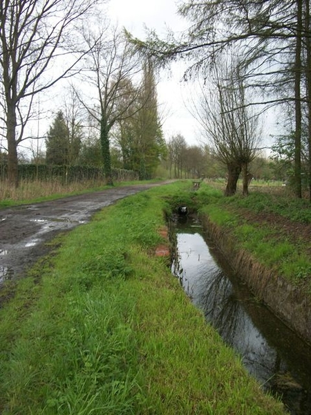 082-Langs Paddebroek naar Wintam