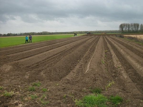 094-Moortelbos in Hingene