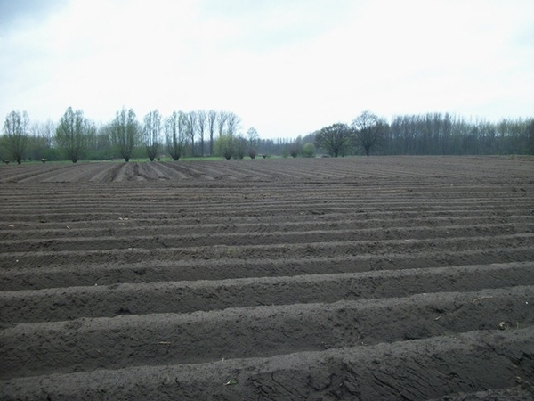 127-Langs Zand terug naar Bornem