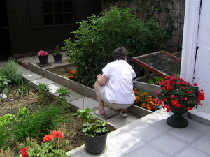 Werken in de tuin