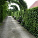 Inrit naar onze garage
