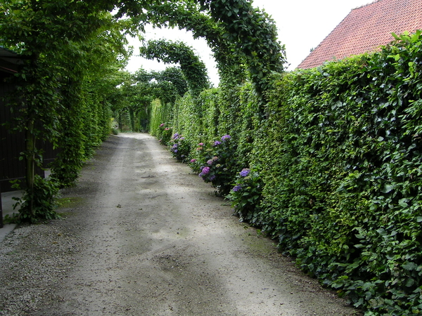 Inrit naar onze garage