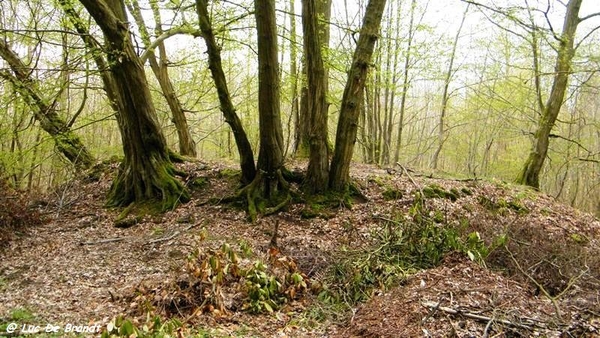 marche Adeps wandeling Anthe wallonie