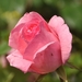 027