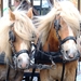 150 JAAR VAART 21-2012 023