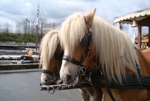 150 JAAR VAART 21-2012 063