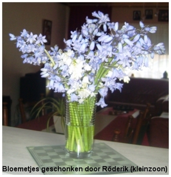 bloemen (7)