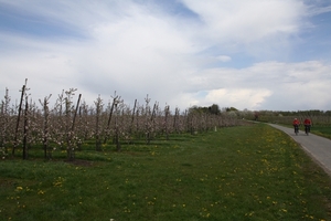 bloesemtocht 2012 108