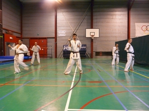 37 Ex voor hoge gordels Kata 04-2012