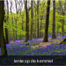 natuur_vandeplassche_lentekriebels.jpg