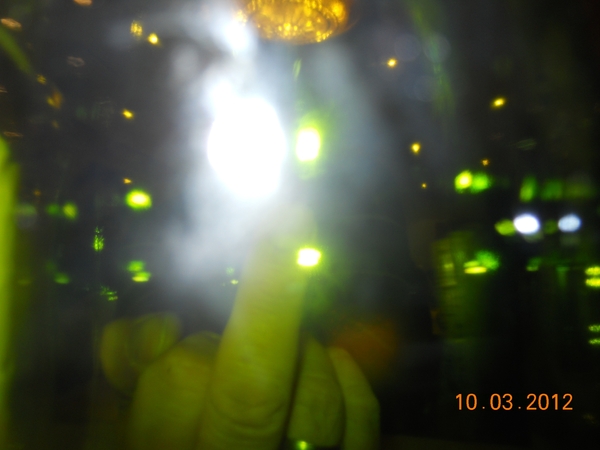 DSCN3221