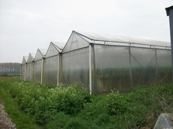 17-Serren in Nieuwenrode