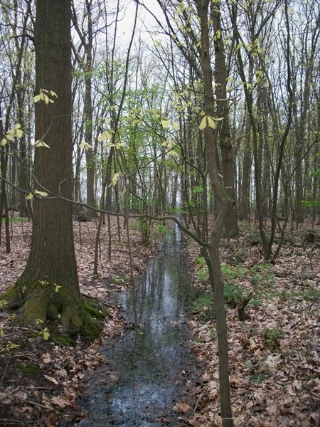 23-
