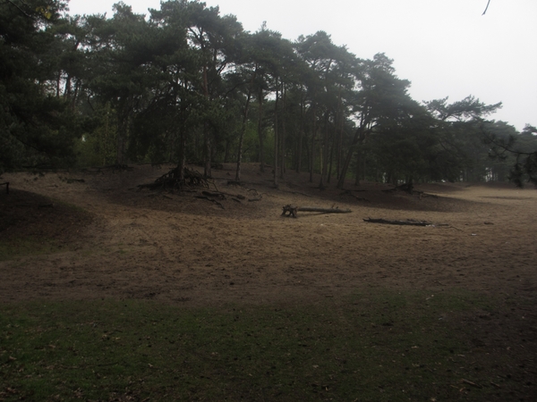 Dongen, 28 april 2012 009