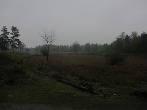 Dongen, 28 april 2012 019