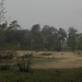 Dongen, 28 april 2012 026