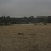 Dongen, 28 april 2012 047