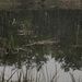 Dongen, 28 april 2012 066