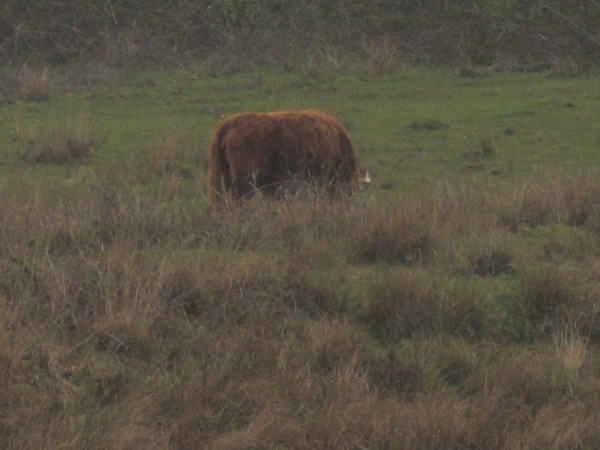 Dongen, 28 april 2012 079