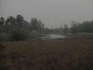 Dongen, 28 april 2012 081