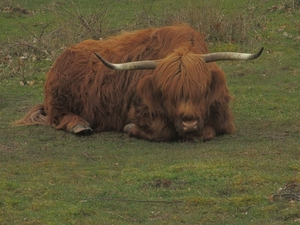 Dongen, 28 april 2012 085