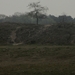 Dongen, 28 april 2012 092