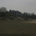Dongen, 28 april 2012 051