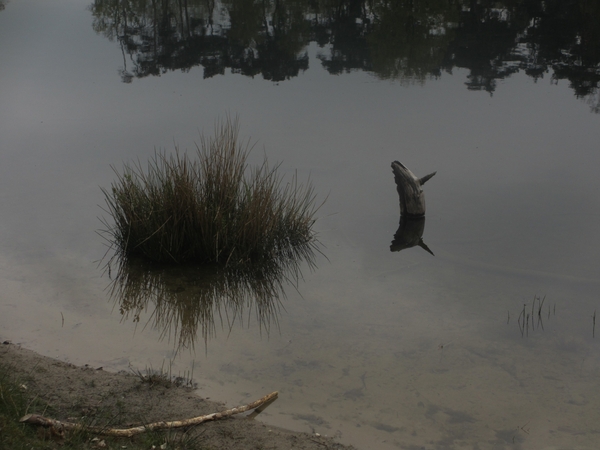 Dongen, 28 april 2012 059