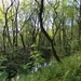 DSCN5908