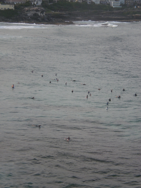 Surfers