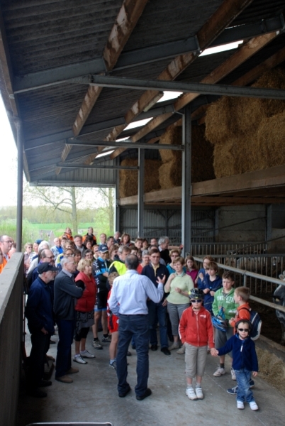 DSC_0086_5507_edited-1