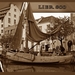 LIER 800