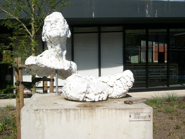 015-Kunstwerk-Gevangen emoties