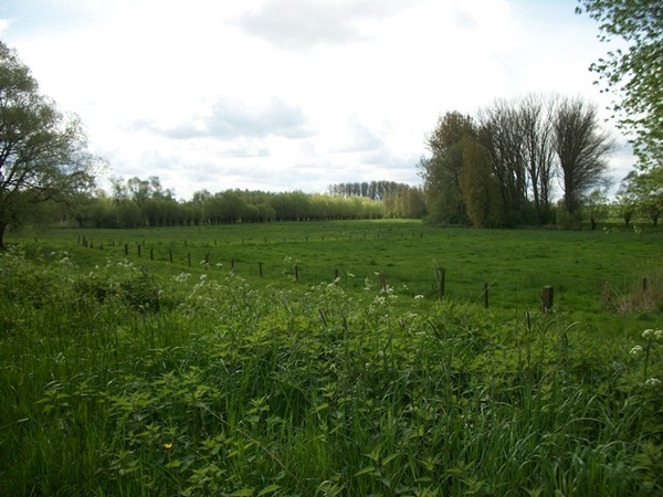 064-Natuurgebied-Bellebroek