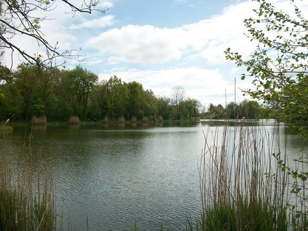 080-Visvijvers-Brusselse Forten