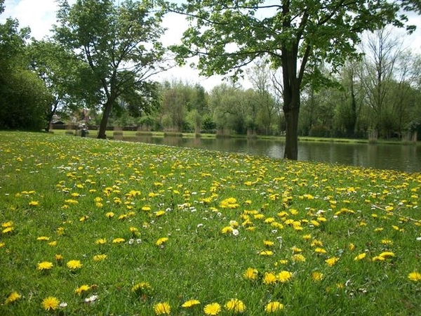 102-Natuurdomein aan de Brusselse Forten