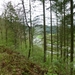 2012-05-01 Bouillon 006