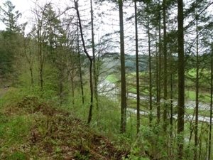 2012-05-01 Bouillon 006