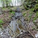 2012-05-01 Bouillon 007