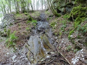 2012-05-01 Bouillon 007