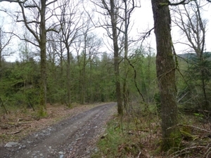 2012-05-01 Bouillon 008