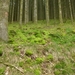 2012-05-01 Bouillon 010