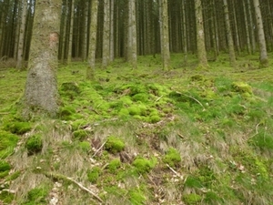 2012-05-01 Bouillon 010